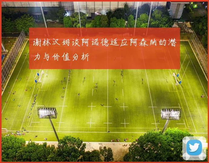 谢林汉姆谈阿诺德适应阿森纳的潜力与价值分析